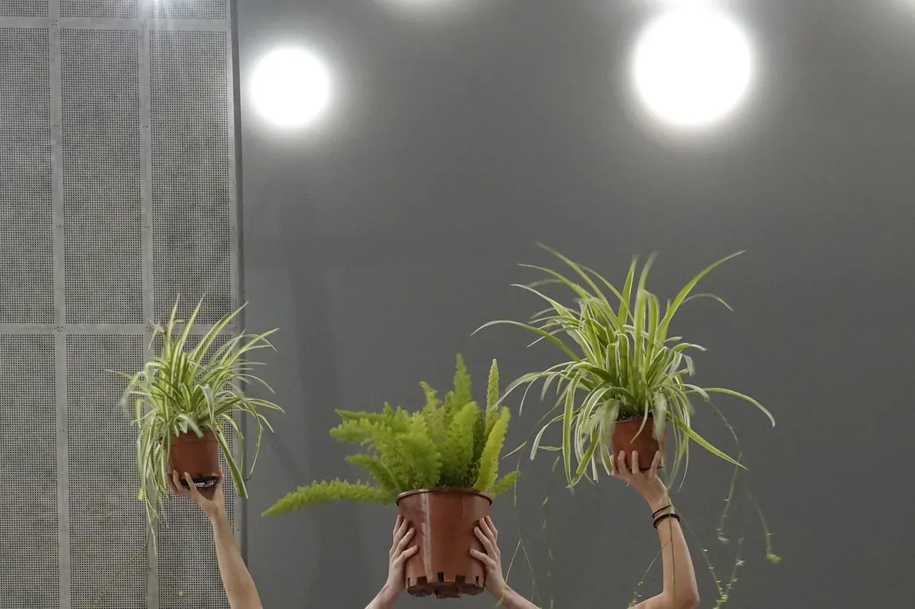 El alumnado de la ESAD de Córdoba participa en «Patios», una acción artística del festival FLORA 2026
